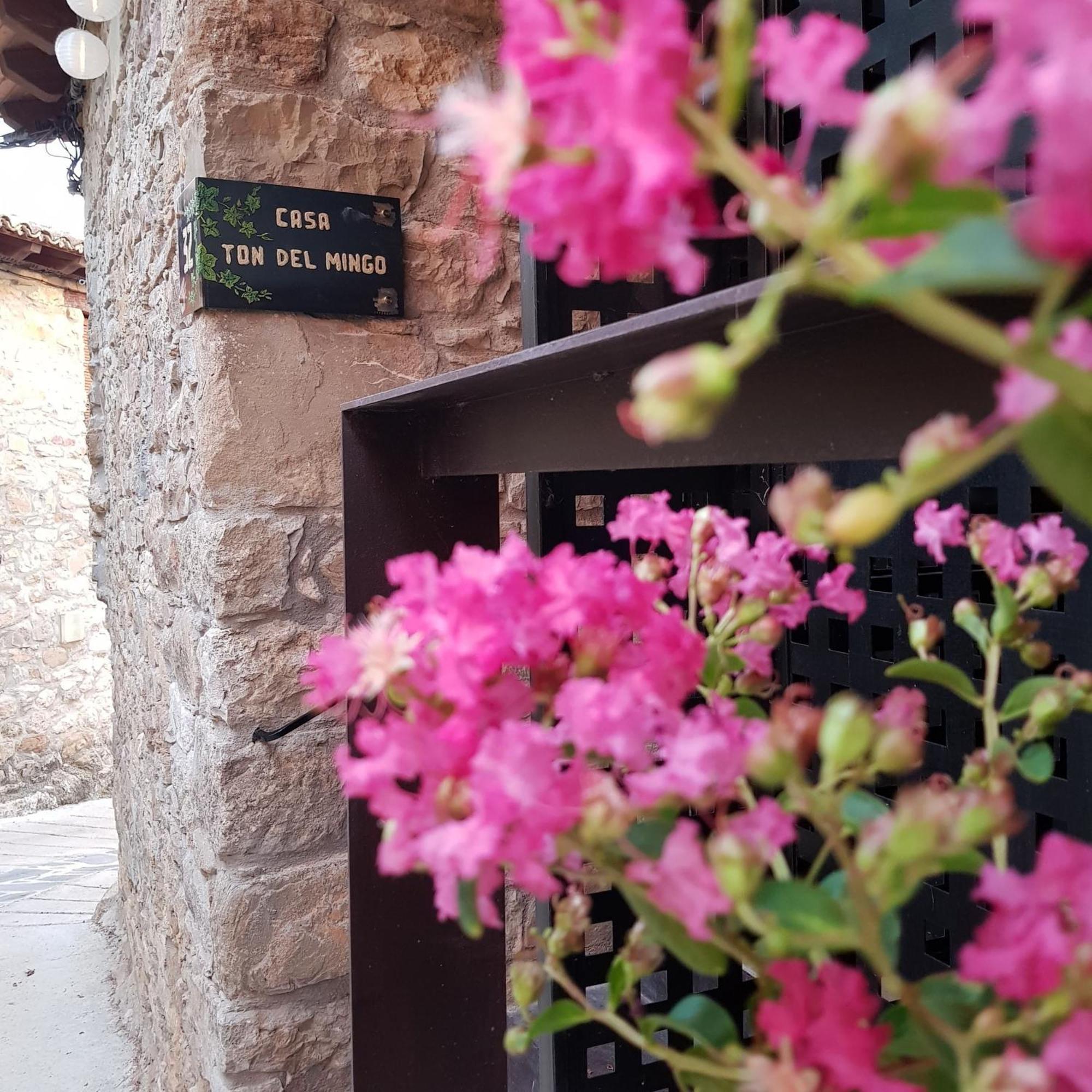 Casa Ton Del Mingo Villa Sant Serni ภายนอก รูปภาพ